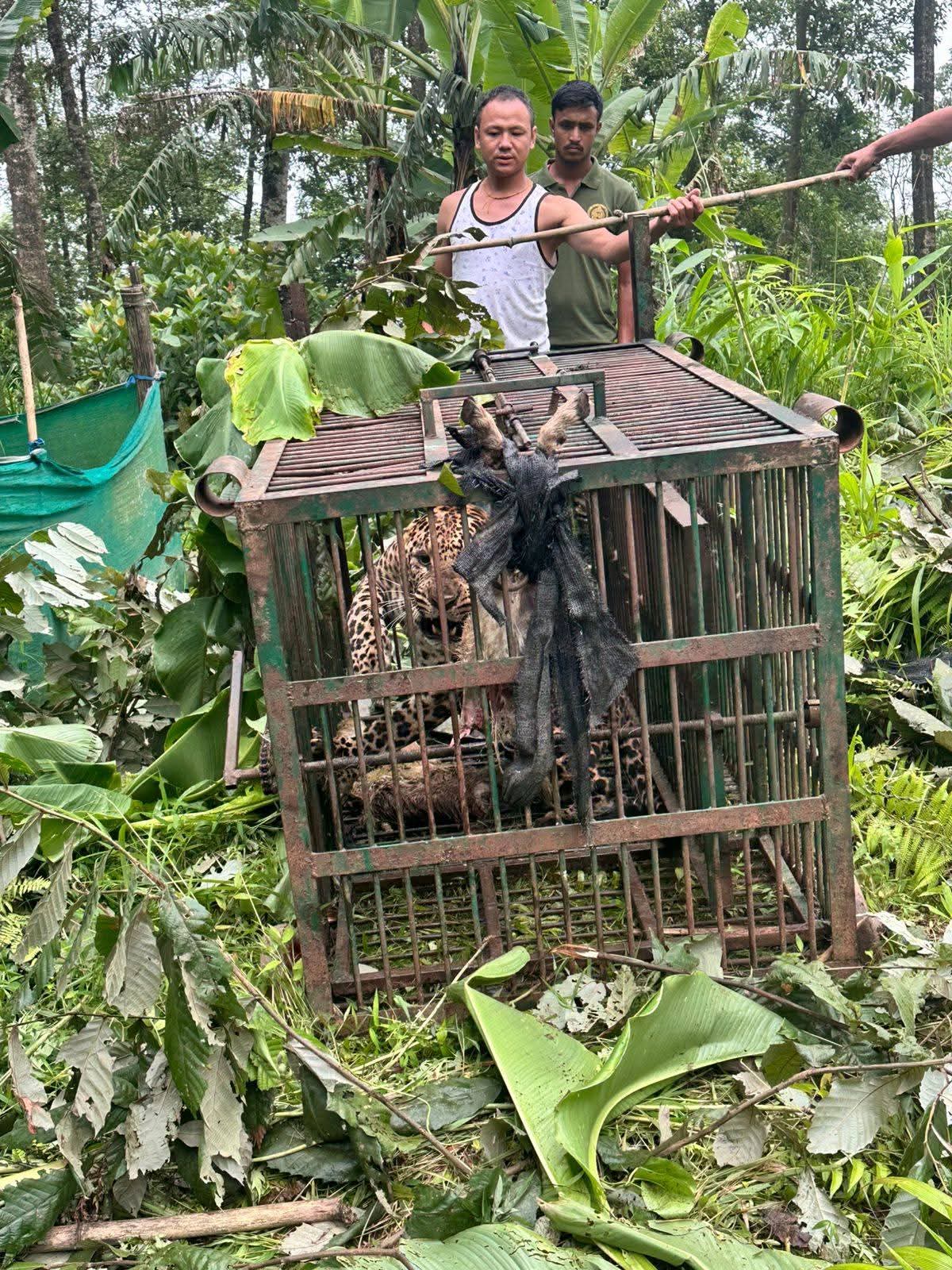 FB_IMG_1750151470363