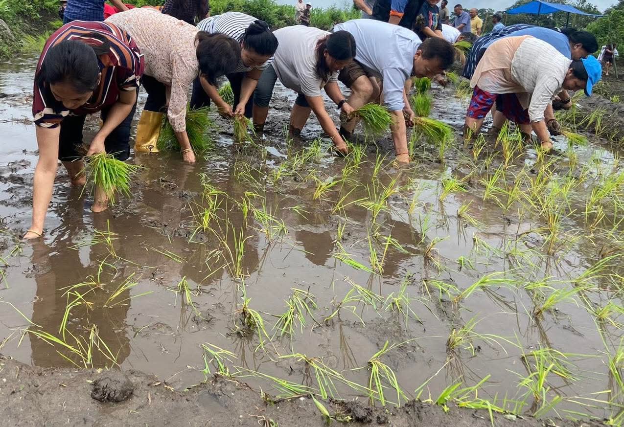 FB_IMG_1751175989823