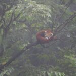 IMG-20250802-WA0030