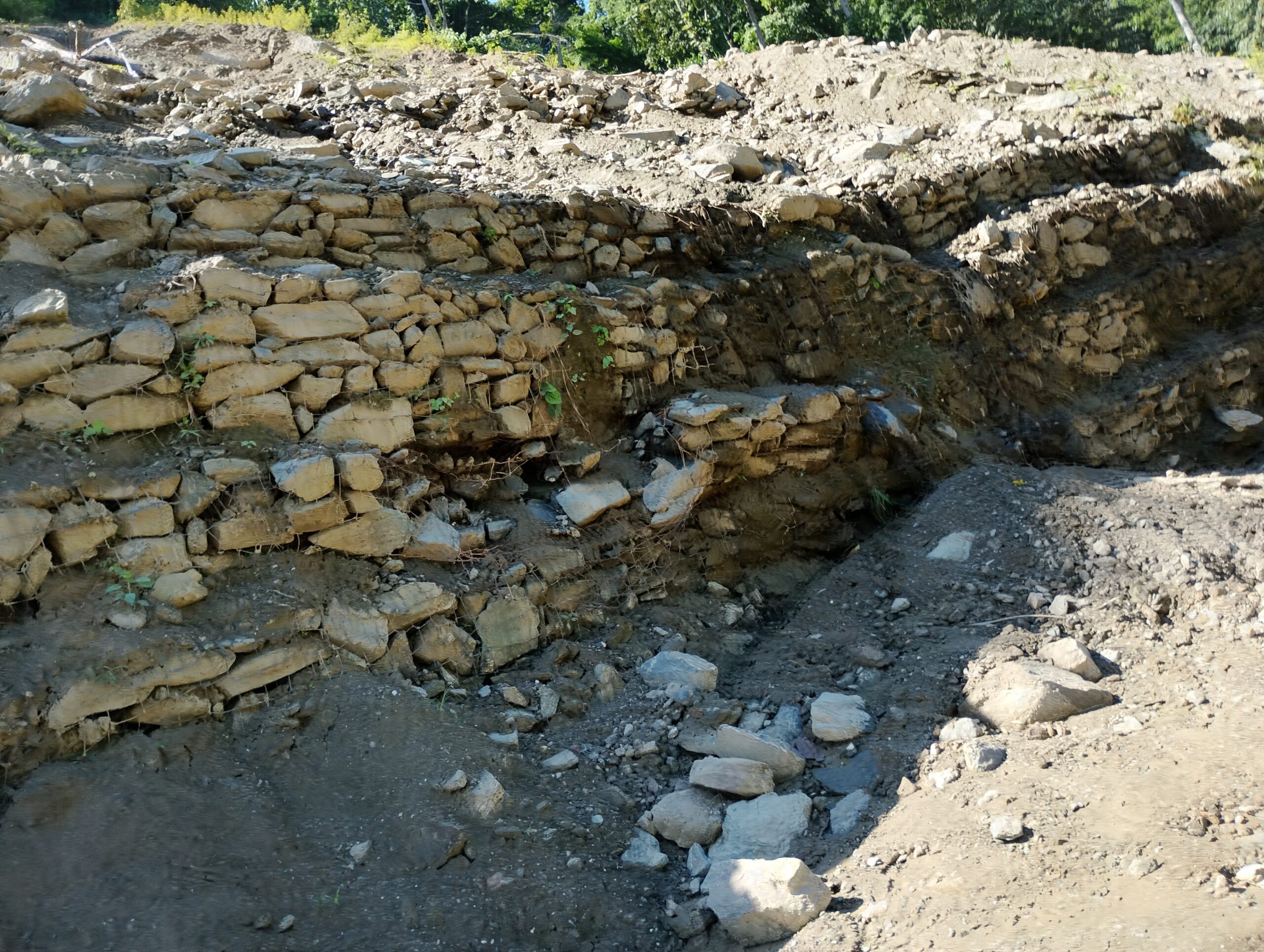 IMG_20250901_091309_hdr