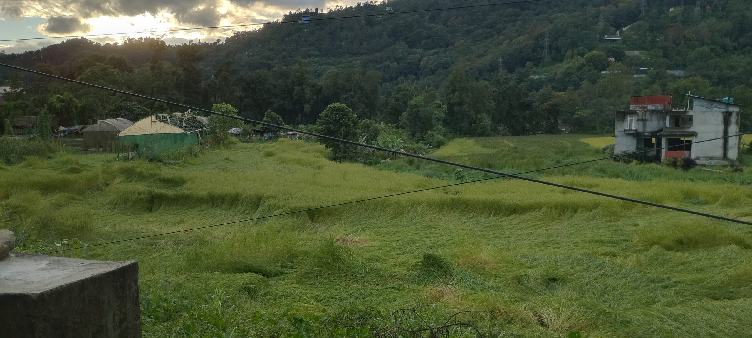 IMG_20251102_160428_hdr