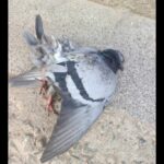 FB_IMG_1768658595824