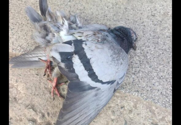 FB_IMG_1768658595824