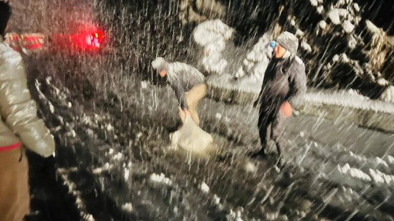 FB_IMG_1771952835976