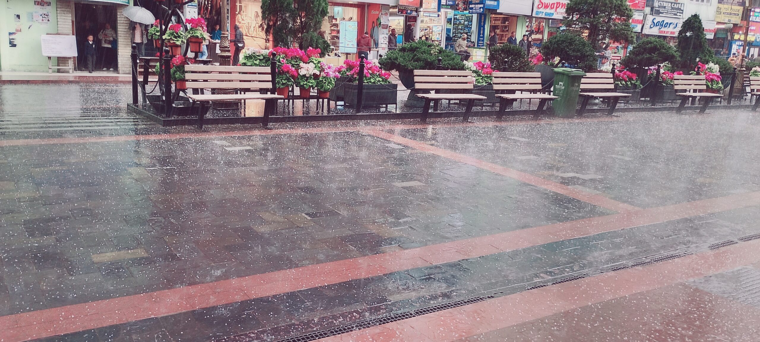 IMG_20260224_144817_hdr