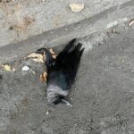 FB_IMG_1772344025121