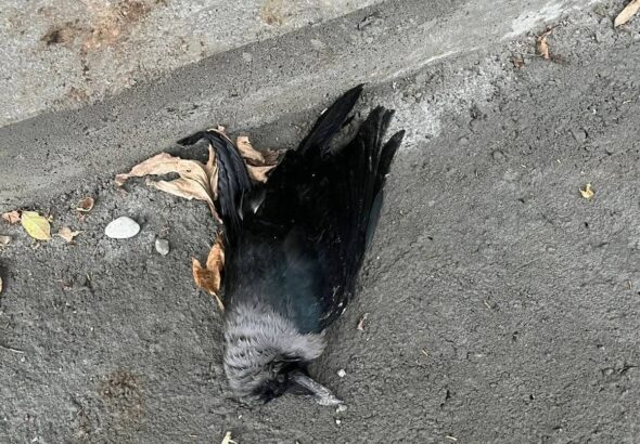 FB_IMG_1772344025121