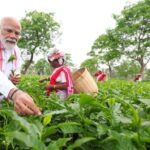 FB_IMG_1775093656948