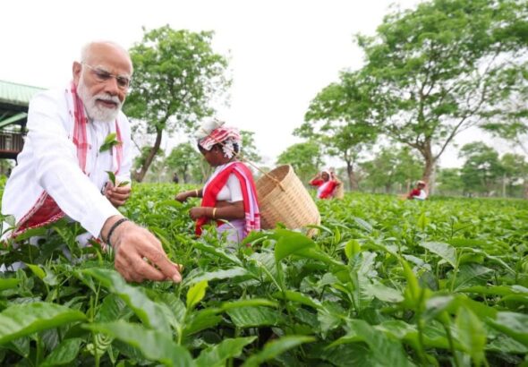 FB_IMG_1775093656948