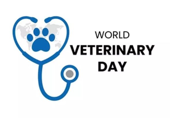 FB_IMG_1777091020504